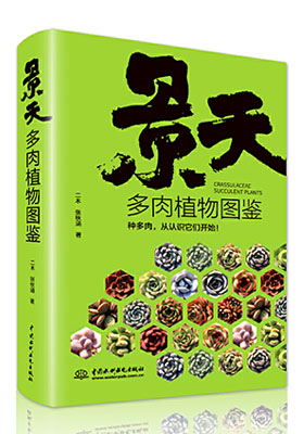簡(jiǎn)評(píng)《景天多肉植物圖鑒》